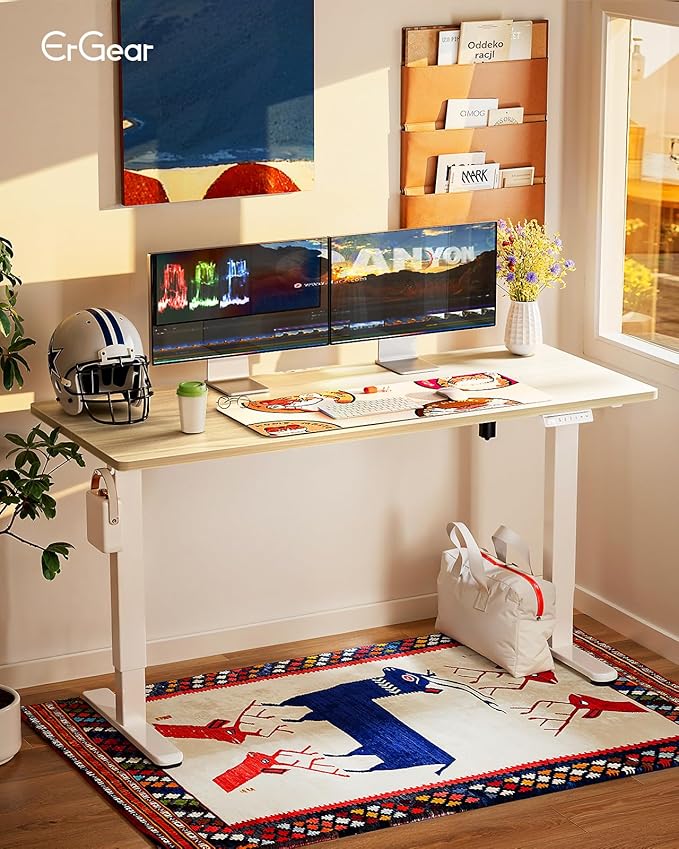 Ergear ErGear Height Adjustable Electric Standing Desk, 55 x 28 Inches Sit Stand up Desk, Memory Computer Home Office Desk (Natural) (EGESD6N)