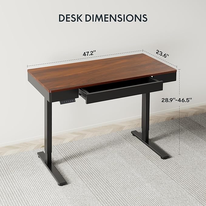FLEXISPOT Q5 Standing Desk with Drawer, 48 x 24 Inch Electric Adjustable Height Stand Up Desk with Storage Organizer, Whole Piece Wooden Desktop for Home, Office, Computer Workstation, Dark Walnut
