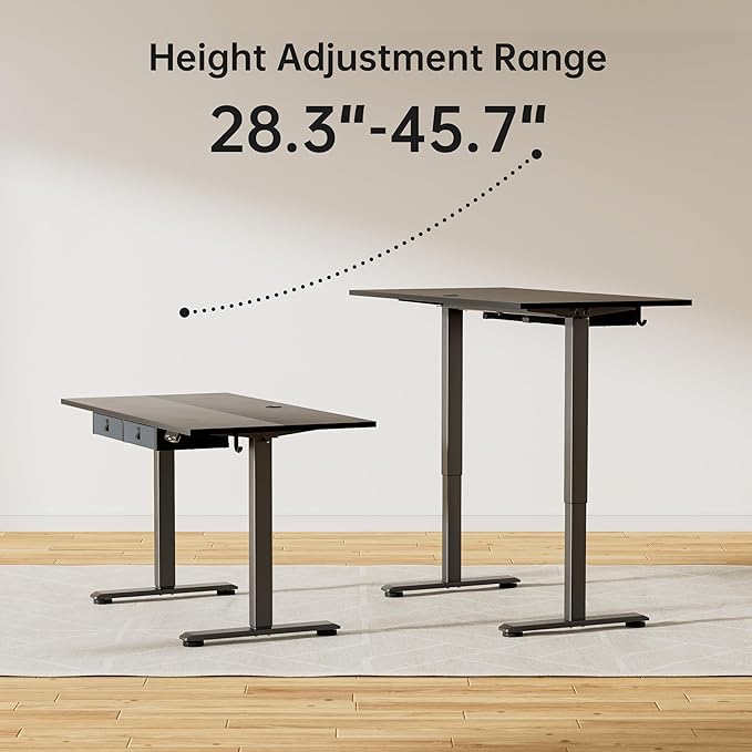 Agilestic Standing Desk with 2 Drawers, Adjustable Height Electric Desk with Storage, 48 x 24 Inches Sit Stand Up Computer Table for Work Office Home, Black