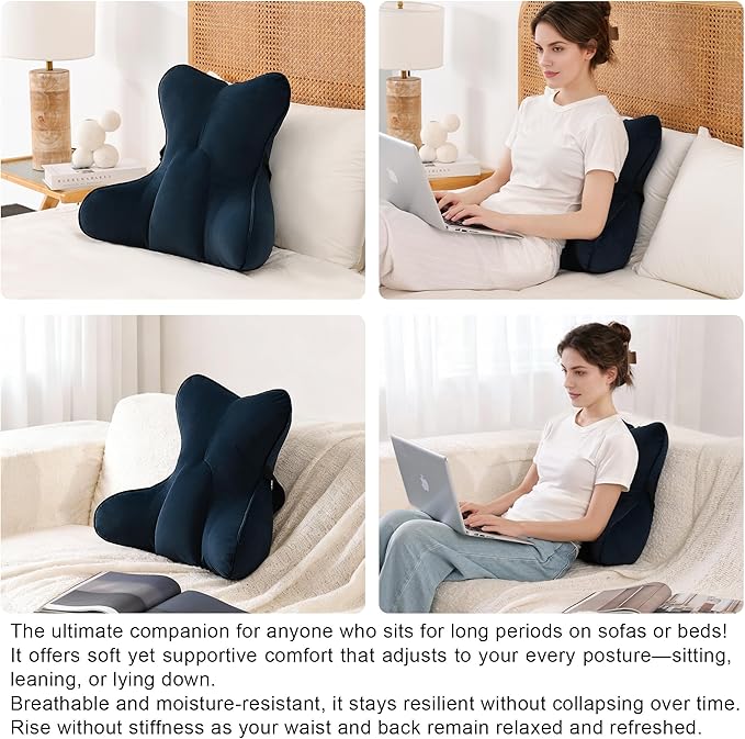 Ailuteie Lumbar Support Pillow(Pat. Pend) – Multi-Functional Ergonomic Back Cushion for Office Chair, Car Seat & Sofa, Reading Pillow with Firm Multi-Zone Support to Relieve Lower Back Pain,Teal Blue