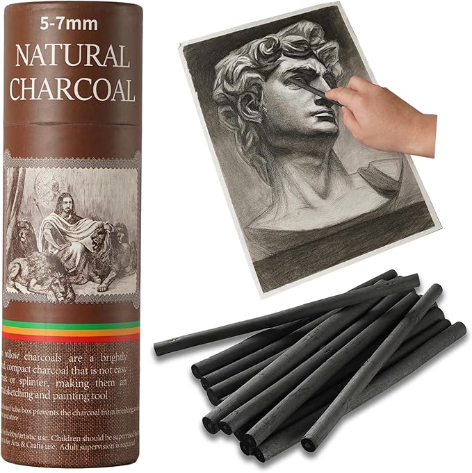 Trzzyan 25 PCS Willow Charcoal Sticks, Ideal for Artists, Beginners, Students, Perfect for Sketching, Drawing, Shading, and Fine Art, 5.7 Inches Long, 2-4,4-5,5-7,7-9 (5-7)