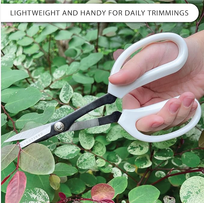 LOOPSEED Precision Gardening Scissors Plant Trimming Pruning Shears Garden Pruners for Orchid Bonsai Hydroponic Flower Clipper Garden Snip 8 Inch Long