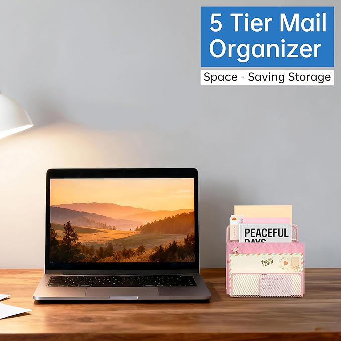 ReePlan Mail Organizer Countertop with 5 Slot, Metal Mail Holder for Desk, File Holder Letter Sorter for Envelope, Bill and Document (Rose Gold)