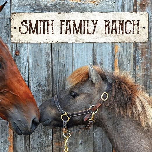 Rustic Custom Sign, Personalized Metal Signs, Gift for Him Men Dad, Man Cave, Indoor and Outdoor Use, 4x18 Inches, ACM, Fade Resistant, Made in the USA