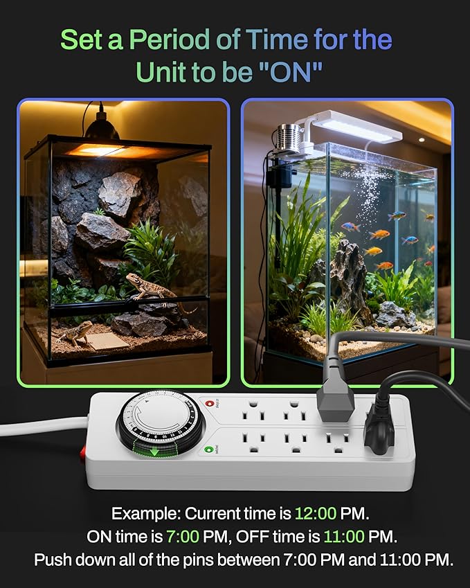 BN-LINK 8 Outlet Surge Protector with Mechanical Timer (4 Outlets Timed, 4 Outlets Always On) - White