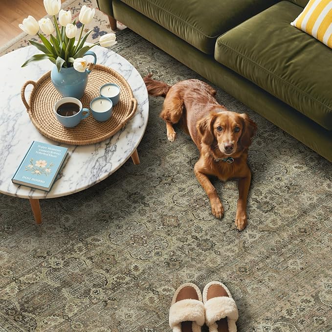 GENIMO 9x12 Area Rugs for Living Room, Machine Washable Non Slip Vintage Rugs, Low Pile Lightweight Chenille Print Rug for Bedroom, Dining Room, Home Office, Green Khaki
