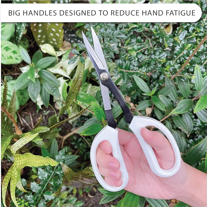 LOOPSEED Precision Gardening Scissors Plant Trimming Pruning Shears Garden Pruners for Orchid Bonsai Hydroponic Flower Clipper Garden Snip 8 Inch Long