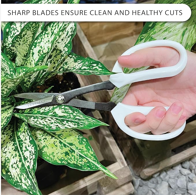 LOOPSEED Precision Gardening Scissors Plant Trimming Pruning Shears Garden Pruners for Orchid Bonsai Hydroponic Flower Clipper Garden Snip 8 Inch Long