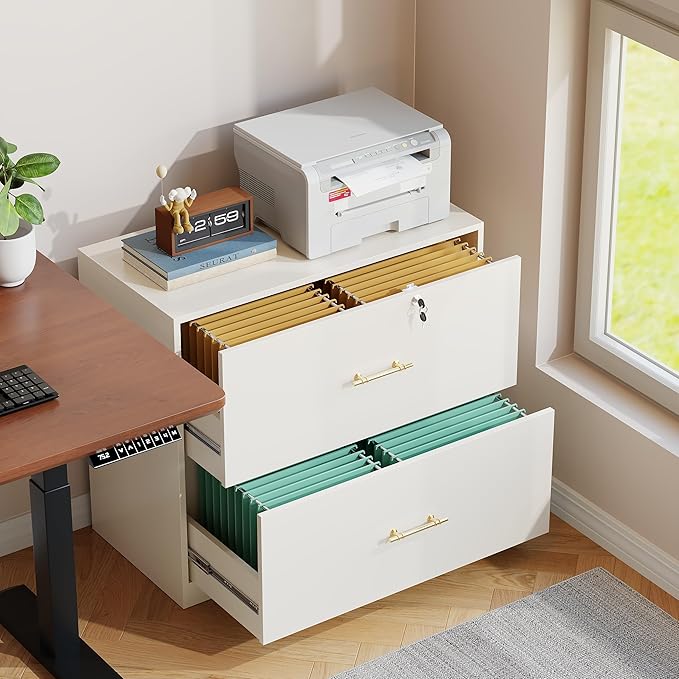 GFGWXW 2 Drawer Lateral File Cabinet with Lock, Suitable for Letter/A4/F4/Legal Size Hanging Files,Large Wood Filing Storage Cabinets Printer Stand for Home Office,White