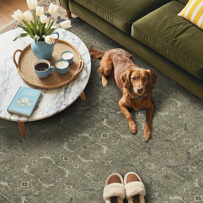 GENIMO 6x9 Area Rugs for Living Room, Machine Washable Non Slip Vintage Rugs, Low Pile Lightweight Chenille Print Rug for Bedroom, Dining Room, Home Office, Muted Green
