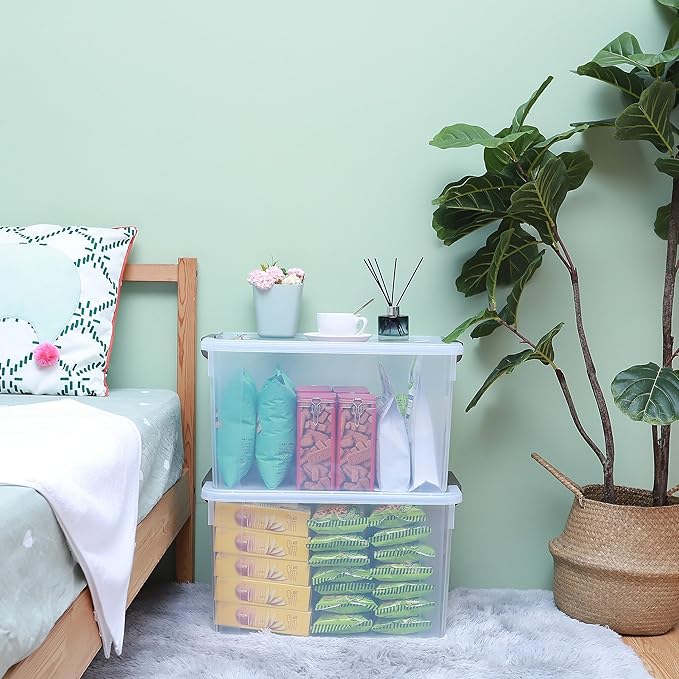 Citylife 58.1 QT Plastic Storage Bins with Latching Lids Stackable Storage Containers for Organizing Large Clear Storage Box for Garage, Closet, Kitchen, 8 Packs
