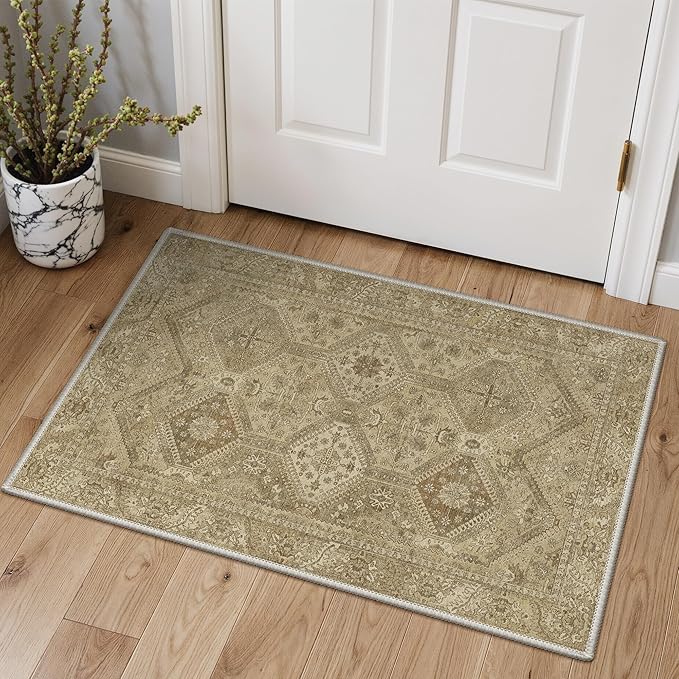 GENIMO Area Rug 2x3 Doormat, Machine Washable Low Pile Rugs, Small Retro Entryway Mat for Entrance, Hallway, Kitchen and Corridor, Tan Brown