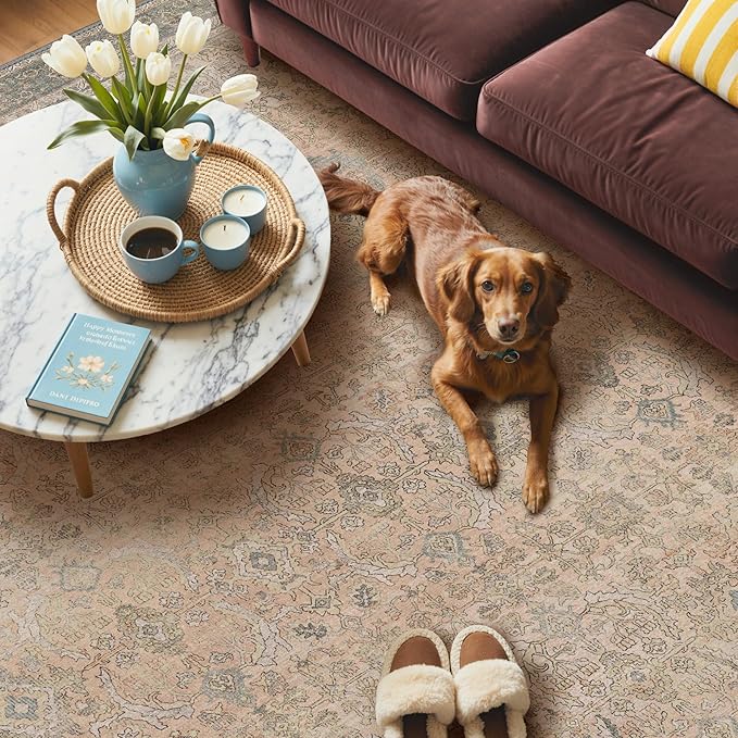 GENIMO 6x9 Area Rugs for Living Room, Machine Washable Non Slip Vintage Rugs, Low Pile Lightweight Chenille Print Rug for Bedroom, Dining Room, Home Office, Oatmeal Beige