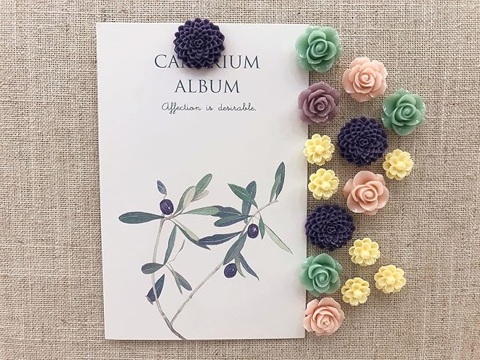 24Pcs Decorative Pushpins,Cork Board Tacks,Bulletin Board Tacks,Thumb Tack Decorative for CorkBoard, Office Organization or Home