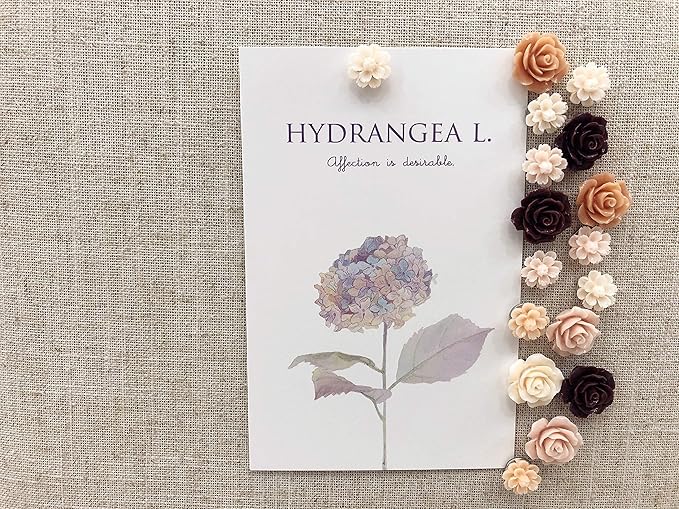Seven YJ.Push Pins 24 Pcs,Decorative ThumbTacks for CorkBoard,Feature Wall, Office Organization or Home