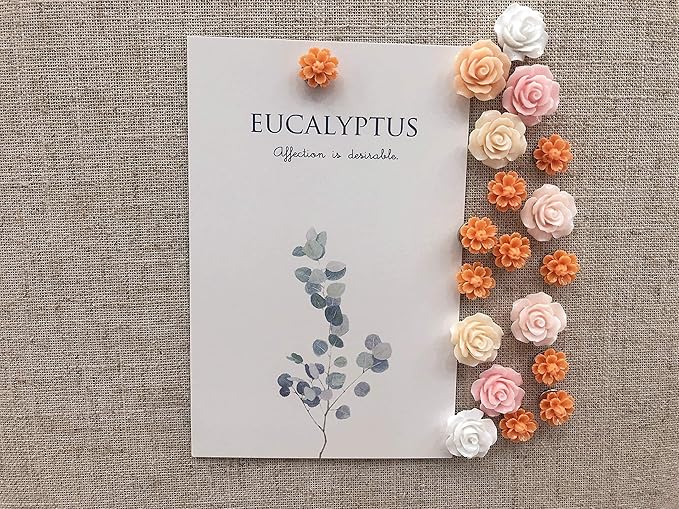 Temoyj Push Pins 24 Pcs,Decorative ThumbTacks for CorkBoard,Feature Wall, Office Organization or Home